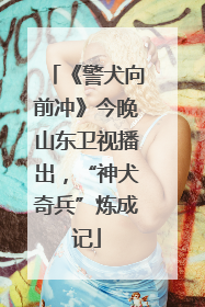 《警犬向前冲》今晚山东卫视播出，“神犬奇兵”炼成记