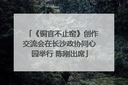 《铜官不止窑》创作交流会在长沙政协同心园举行 陈刚出席