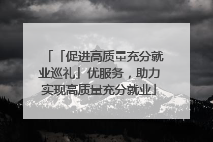 「促进高质量充分就业巡礼」优服务，助力实现高质量充分就业