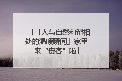 「人与自然和谐相处的温暖瞬间」家里来“贵客”啦