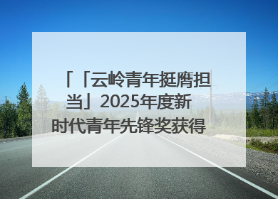 「云岭青年挺膺担当」2025年度新时代青年先锋奖获得者王敏奇——澜沧江上好渔人