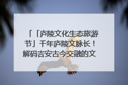 「庐陵文化生态旅游节」千年庐陵文脉长！解码吉安古今交融的文化图谱（图）