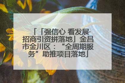 「强信心 看发展·招商引资拼落地」金昌市金川区：“全周期服务”助推项目落地