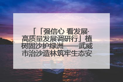 「强信心 看发展·高质量发展调研行」植树固沙护绿洲——武威市治沙造林筑牢生态安全屏障见闻