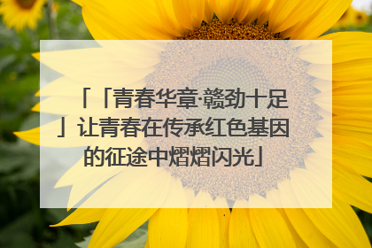「青春华章·赣劲十足」让青春在传承红色基因的征途中熠熠闪光
