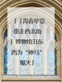 「青春华章·重走西北角」博物馆丑东西为“神马”爆火