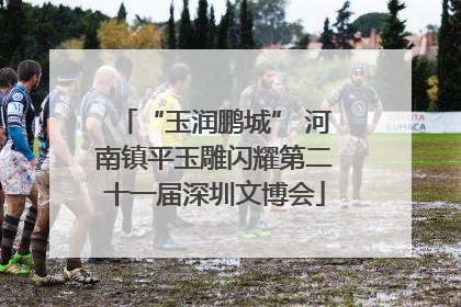 “玉润鹏城” 河南镇平玉雕闪耀第二十一届深圳文博会