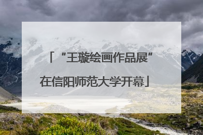 “王璇绘画作品展”在信阳师范大学开幕