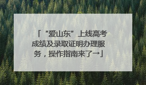 “爱山东”上线高考成绩及录取证明办理服务，操作指南来了→