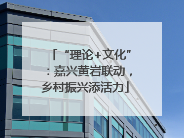 “理论+文化”：嘉兴黄岩联动，乡村振兴添活力