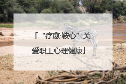 “疗愈·鞍心”关爱职工心理健康