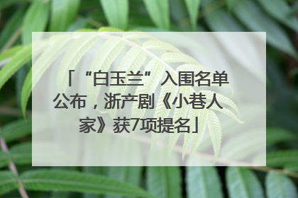 “白玉兰”入围名单公布，浙产剧《小巷人家》获7项提名