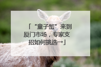 “童子蟹”来到厦门市场，专家支招如何挑选→