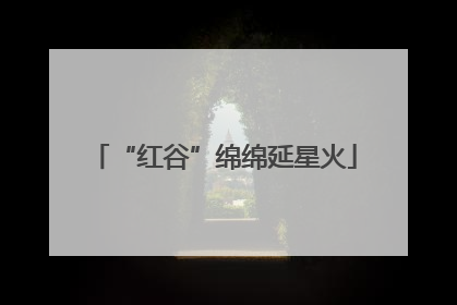 “红谷”绵绵延星火