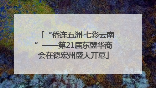 “侨连五洲·七彩云南”——第21届东盟华商会在德宏州盛大开幕