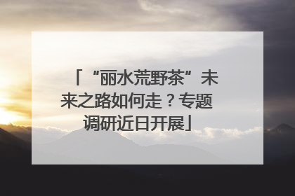 “丽水荒野茶”未来之路如何走？专题调研近日开展
