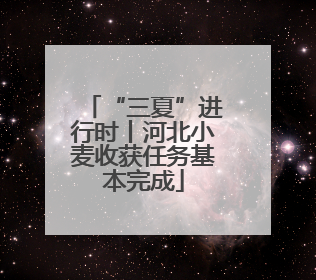 “三夏”进行时丨河北小麦收获任务基本完成