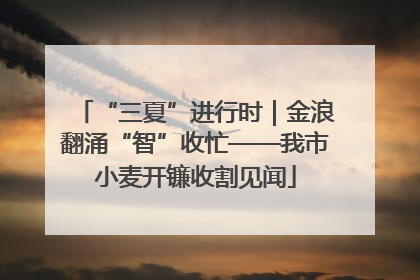 “三夏”进行时｜金浪翻涌“智”收忙——我市小麦开镰收割见闻