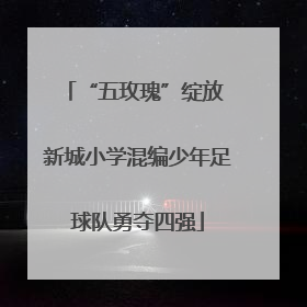 “五玫瑰”绽放 新城小学混编少年足球队勇夺四强