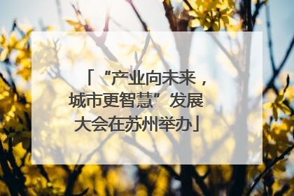 “产业向未来，城市更智慧”发展大会在苏州举办