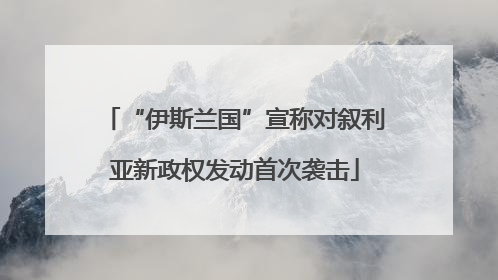 “伊斯兰国”宣称对叙利亚新政权发动首次袭击