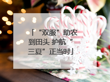 “双服”助农到田头 护航“三夏”正当时