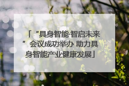 “具身智能·智启未来”会议成功举办 助力具身智能产业健康发展