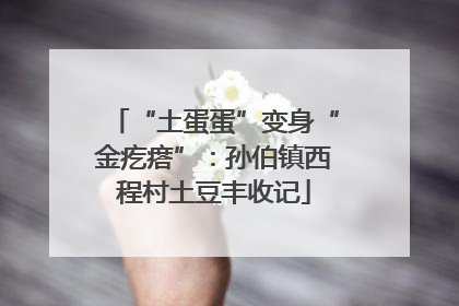 “土蛋蛋”变身“金疙瘩”：孙伯镇西程村土豆丰收记