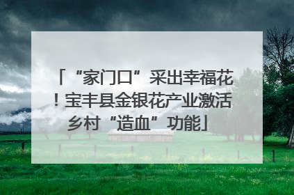 “家门口”采出幸福花！宝丰县金银花产业激活乡村“造血”功能