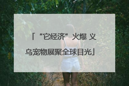 “它经济”火爆 义乌宠物展聚全球目光