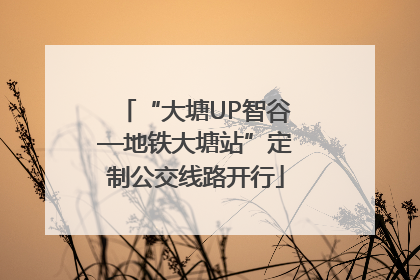 “大塘UP智谷—地铁大塘站”定制公交线路开行