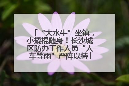 “大水牛”坐镇，小撬棍随身！长沙城区防办工作人员“人车等雨”严阵以待
