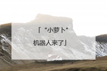 “小萝卜”机器人来了