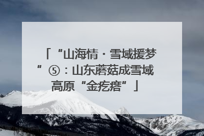“山海情・雪域援梦”⑤：山东蘑菇成雪域高原“金疙瘩”