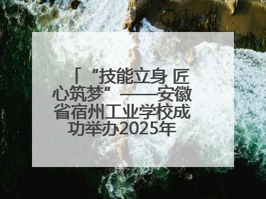 “技能立身 匠心筑梦”——安徽省宿州工业学校成功举办2025年职业技能活动周各项活动