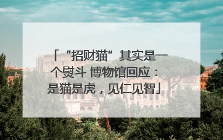 “招财猫”其实是一个熨斗 博物馆回应：是猫是虎，见仁见智