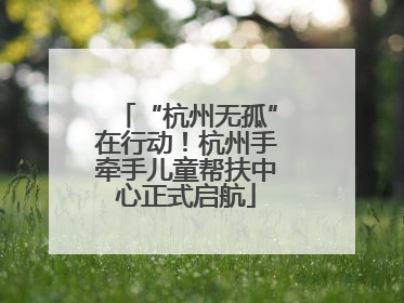 “杭州无孤”在行动！杭州手牵手儿童帮扶中心正式启航