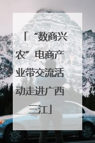 “数商兴农”电商产业带交流活动走进广西三江