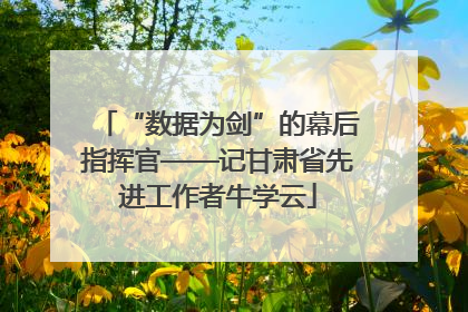 “数据为剑”的幕后指挥官——记甘肃省先进工作者牛学云