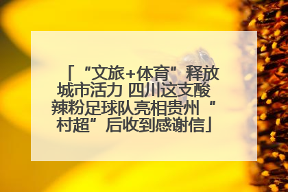 “文旅+体育”释放城市活力 四川这支酸辣粉足球队亮相贵州“村超”后收到感谢信