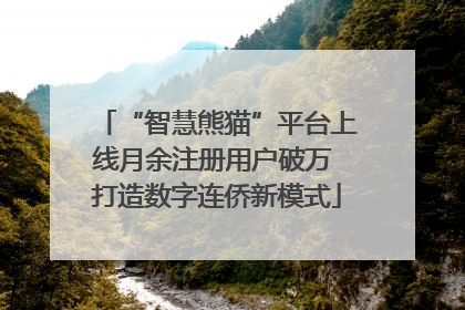 “智慧熊猫”平台上线月余注册用户破万 打造数字连侨新模式