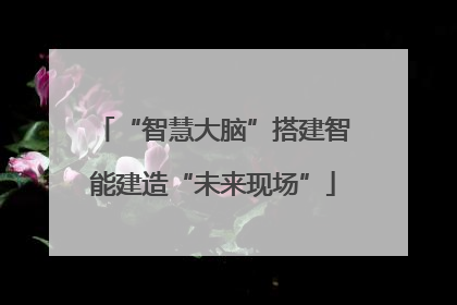 “智慧大脑”搭建智能建造“未来现场”