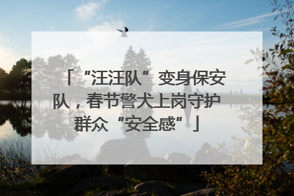 “汪汪队”变身保安队，春节警犬上岗守护群众“安全感”