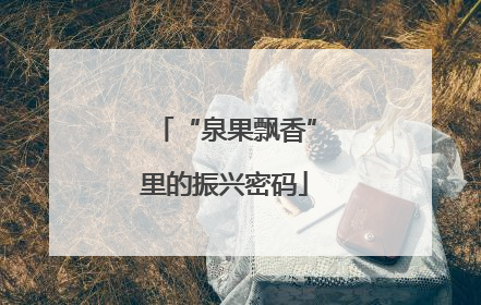 “泉果飘香”里的振兴密码