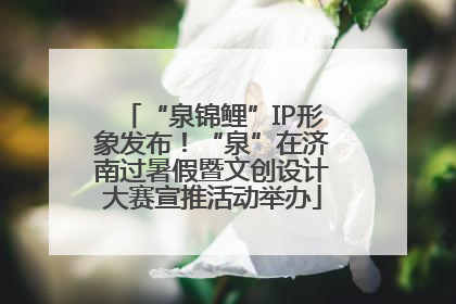 “泉锦鲤”IP形象发布！“泉”在济南过暑假暨文创设计大赛宣推活动举办