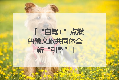 “自驾+”点燃鲁豫文旅共同体全新“引擎”