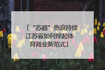 “苏超”热浪持续 江苏省如何撑起体育商业新范式