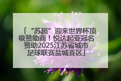 “苏超”迎来世界杯顶级赞助商！悦达起亚冠名赞助2025江苏省城市足球联赛盐城赛区