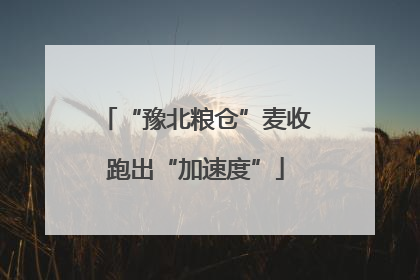 “豫北粮仓”麦收跑出“加速度”