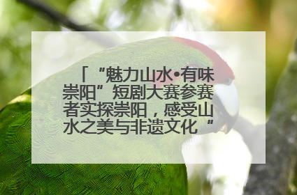 “魅力山水•有味崇阳”短剧大赛参赛者实探崇阳，感受山水之美与非遗文化“提琴戏”魅力